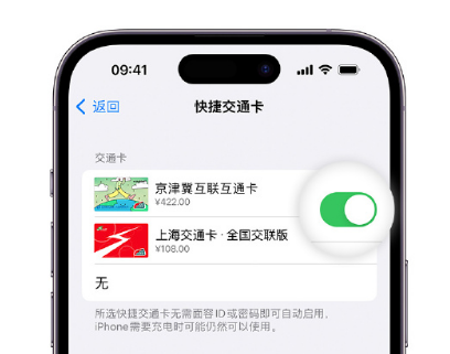 霸州apple维修点分享iPhone上更换Apple Pay快捷交通卡手绘卡面 