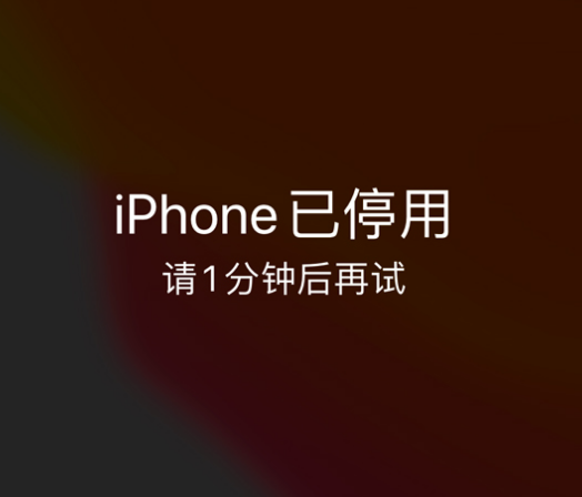 霸州苹果手机维修分享:iPhone 显示“不可用”或“已停用”怎么办？还能保留数据吗？ 