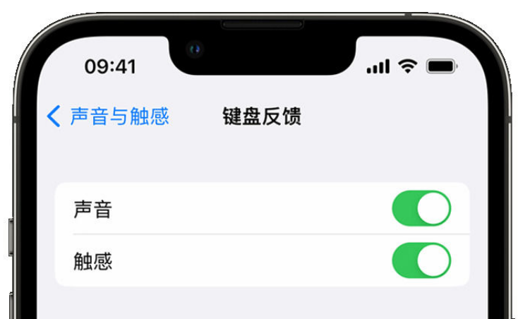 霸州苹果手机维修分享iPhone 14触感键盘使用方法 