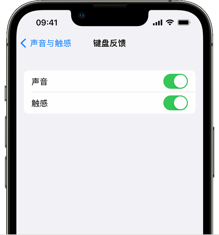 霸州苹果14维修店分享如何在 iPhone 14 机型中使用触感键盘 