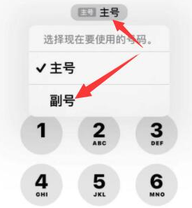 霸州苹果14维修店分享iPhone 14 Pro Max使用副卡打电话的方法 