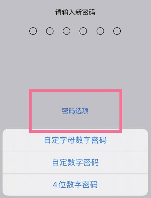 霸州苹果14维修分享iPhone 14plus设置密码的方法 