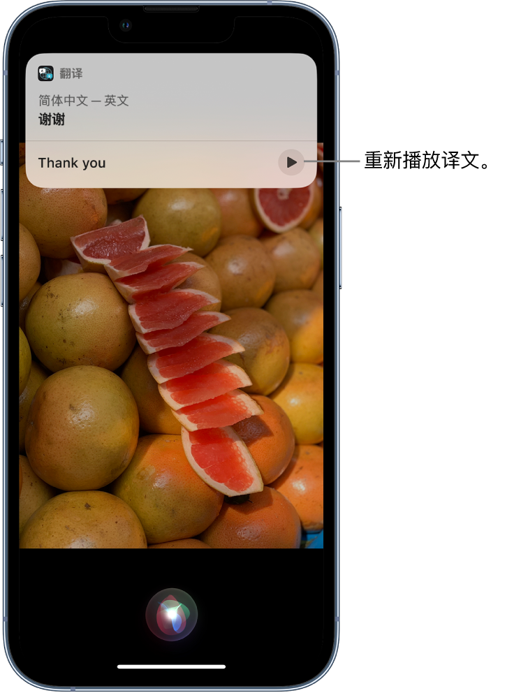 霸州苹果14维修分享 iPhone 14 机型中使用 Siri：了解 Siri 能帮你做什么 