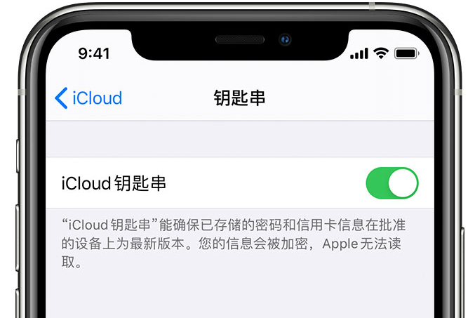 霸州苹果手机维修分享在 iPhone 上开启 iCloud 钥匙串之后会储存哪些信息 