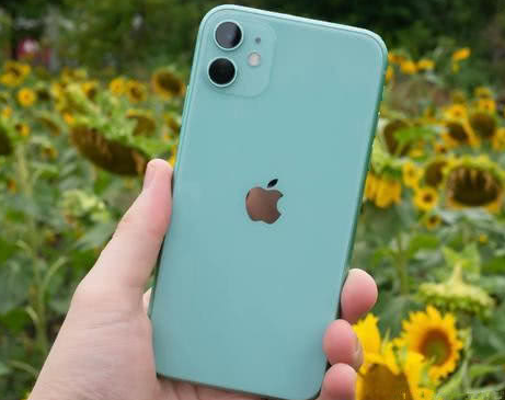 霸州苹果维修点分享iPhone 11锁屏密码认知与使用科普 